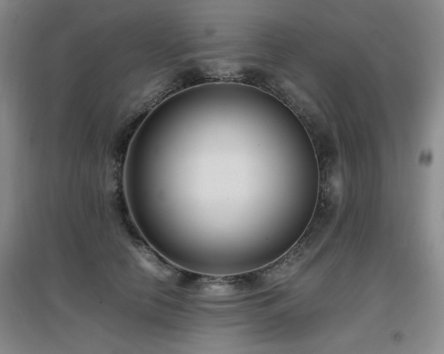 X0000097660658200802291428