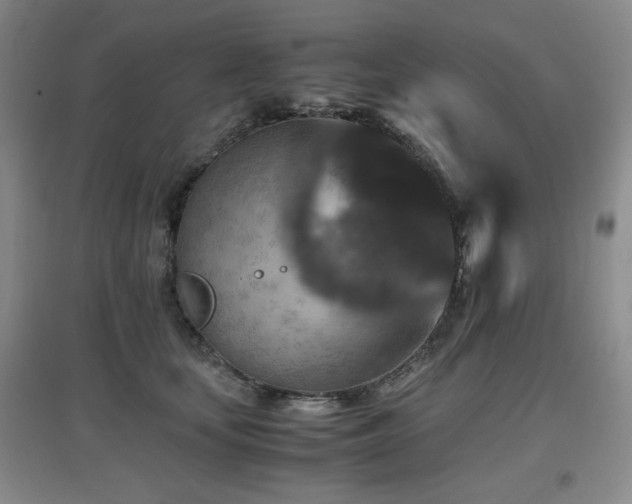 X0000097660659200802291428
