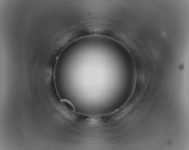 X0000097660660200802291428