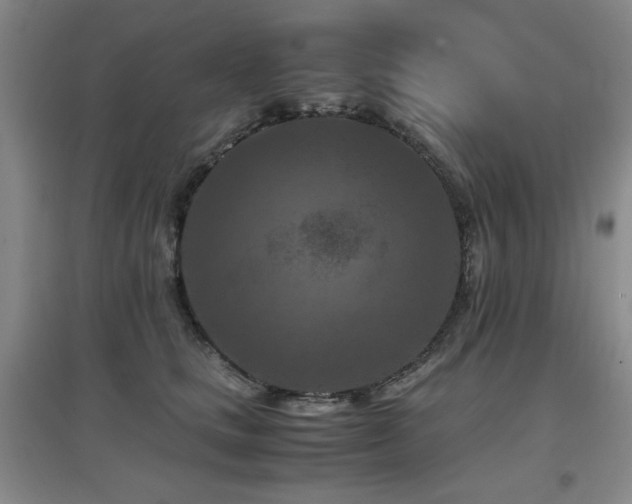 X0000097660661200802291428