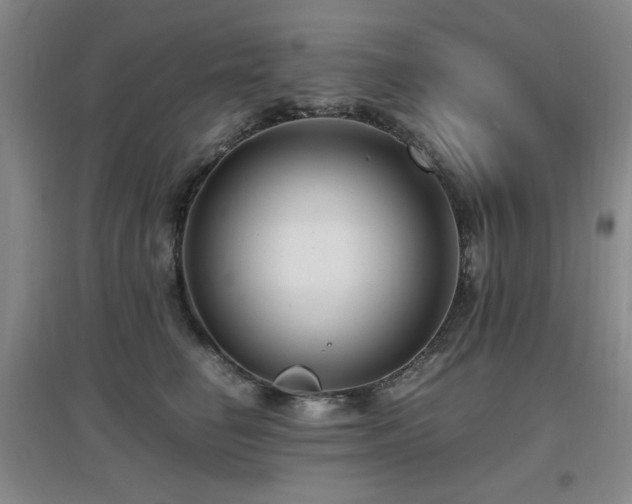 X0000097660662200802291428