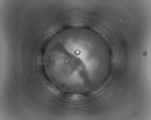 X0000097660663200802291428