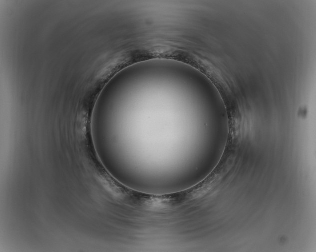 X0000097660664200802291428