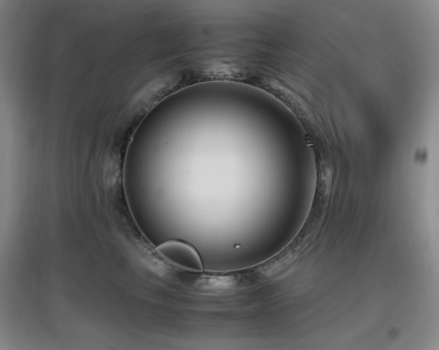 X0000097660665200802291428