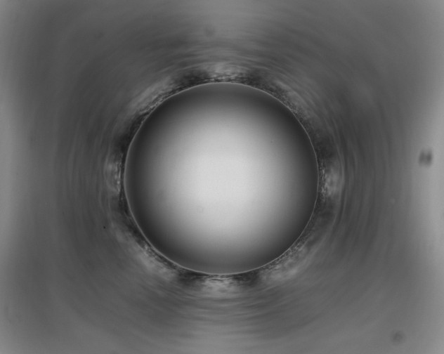 X0000097660666200802291428