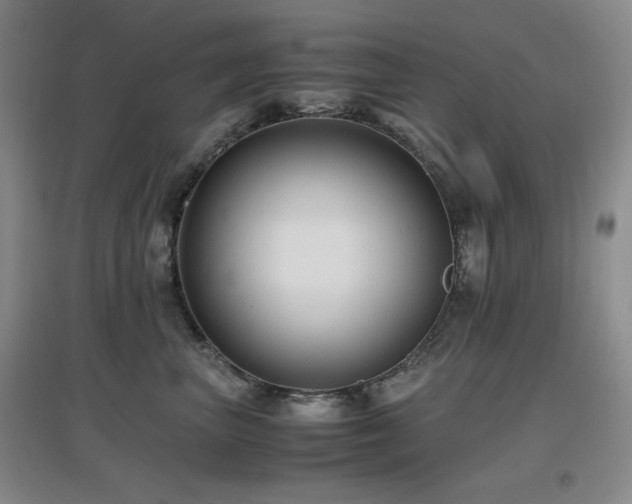 X0000097660667200802291428