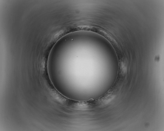 X0000097660668200802291428