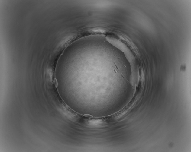 X0000097660669200802291428