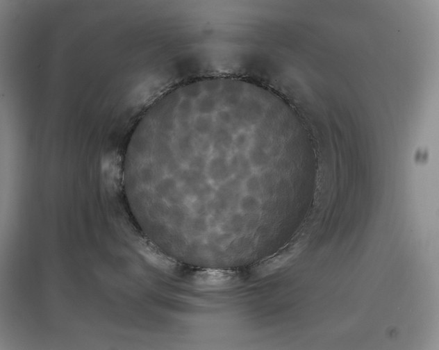 X0000097660672200802291428