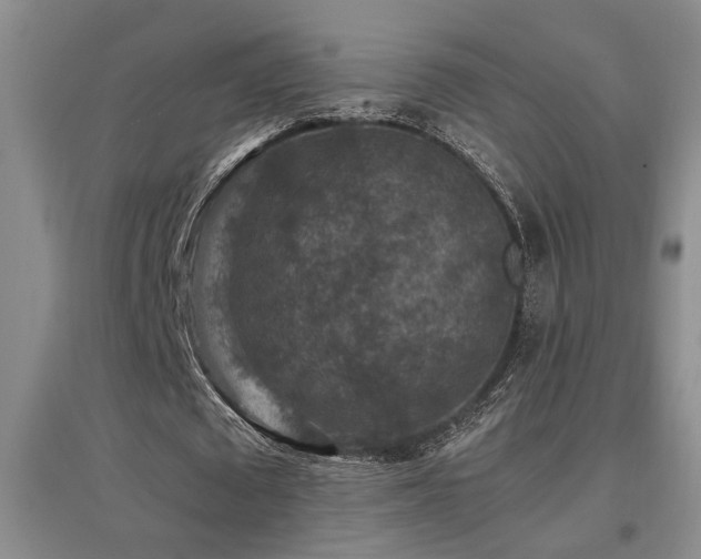 X0000097660673200802291427