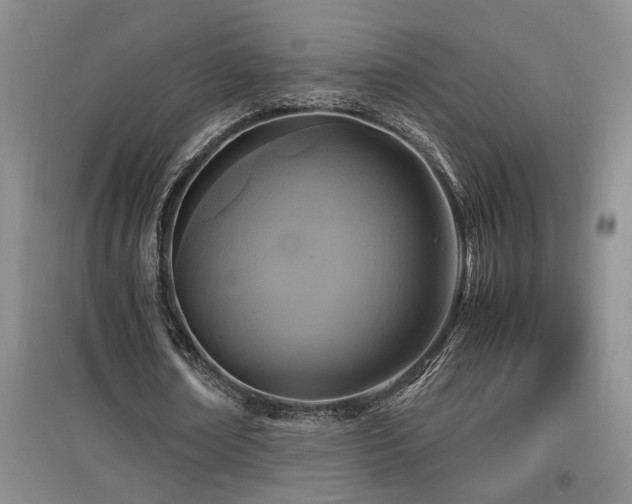 X0000097660674200802291427