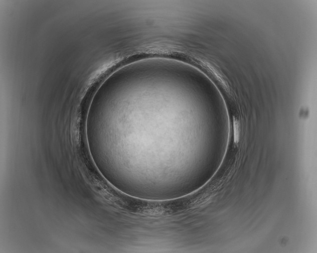 X0000097660675200802291427
