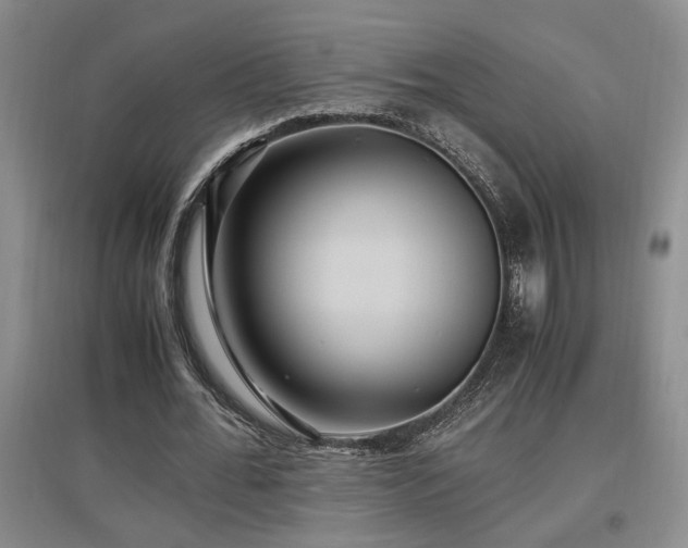 X0000097660676200802291427