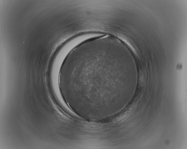 X0000097660677200802291427