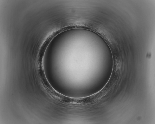 X0000097660680200802291427