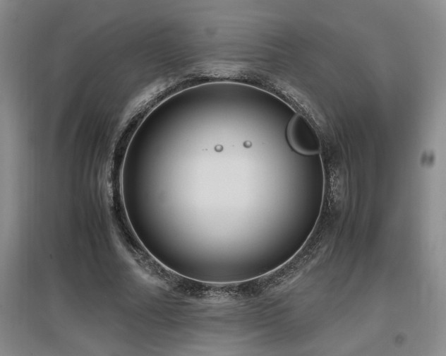 X0000097660682200802291427