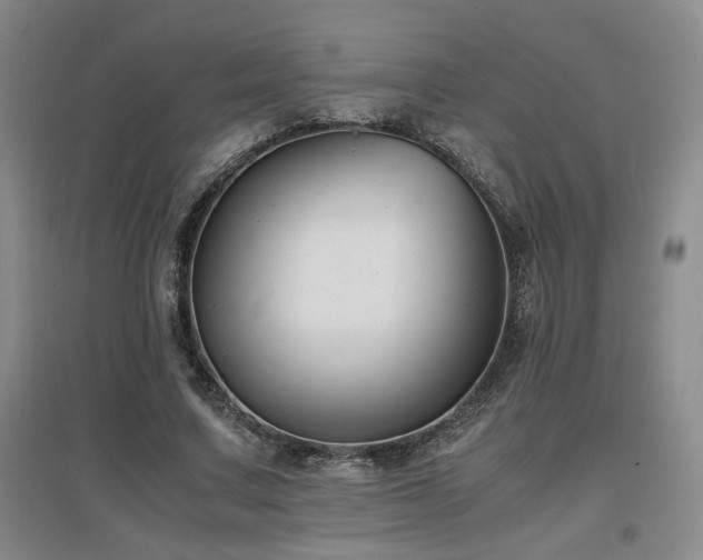 X0000097660683200802291427