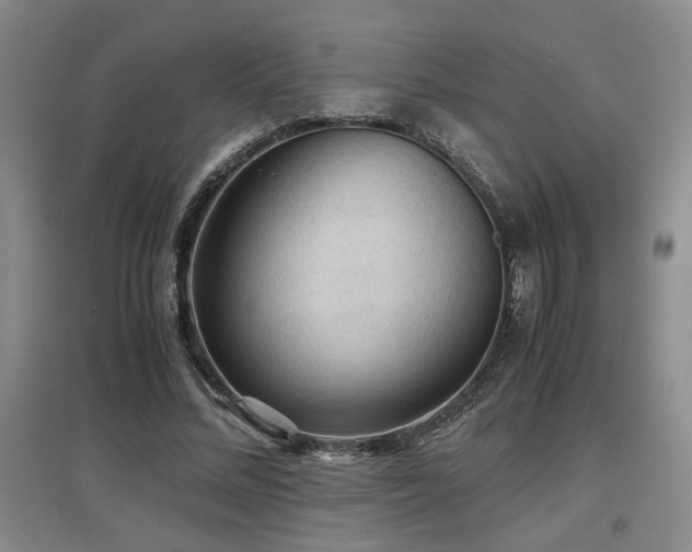 X0000097660684200802291427