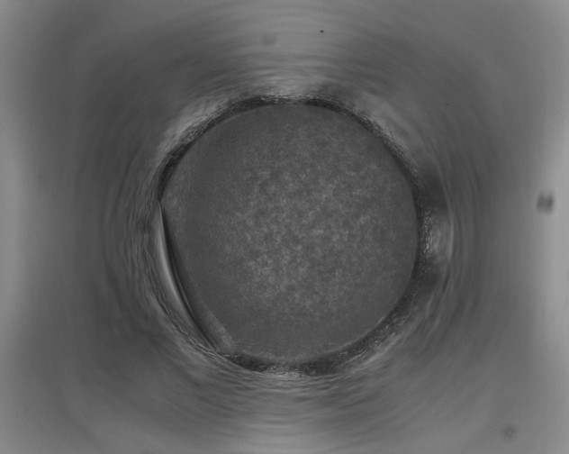 X0000097660685200802291427