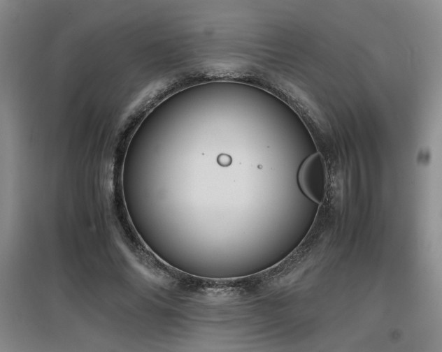 X0000097660686200802291427