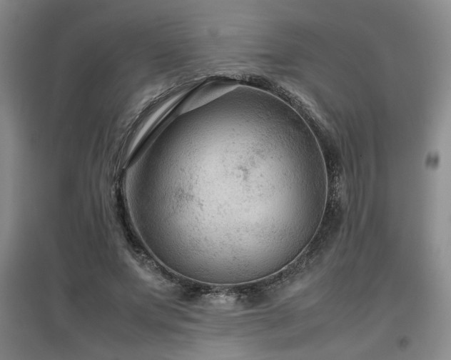 X0000097660687200802291427
