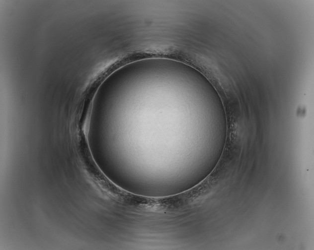 X0000097660688200802291427