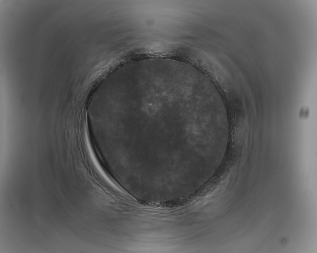 X0000097660689200802291427