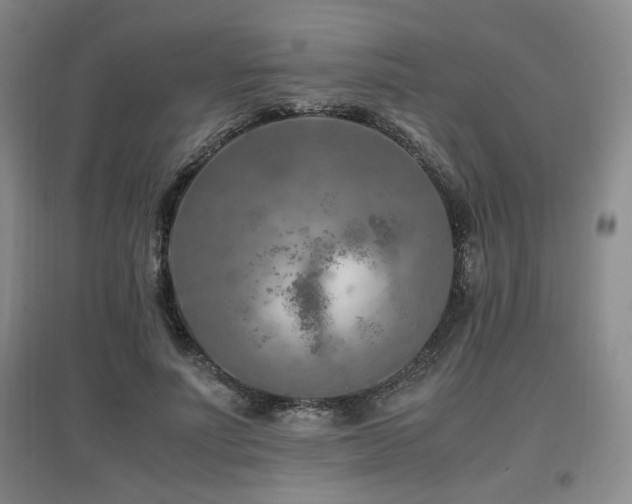 X0000097660691200802291427
