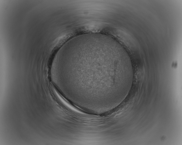 X0000097660693200802291427