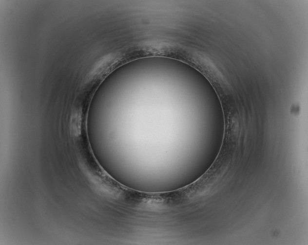 X0000097660694200802291427