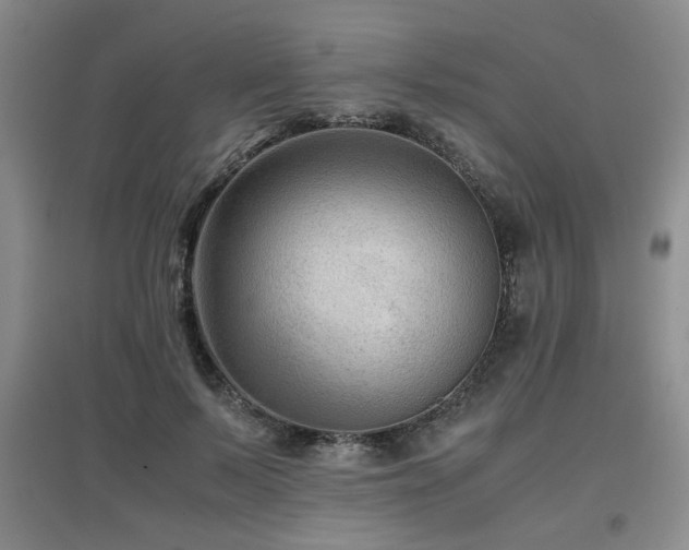 X0000097660695200802291427