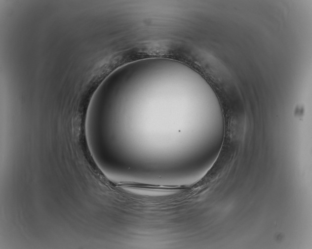 X0000097660697200802291427