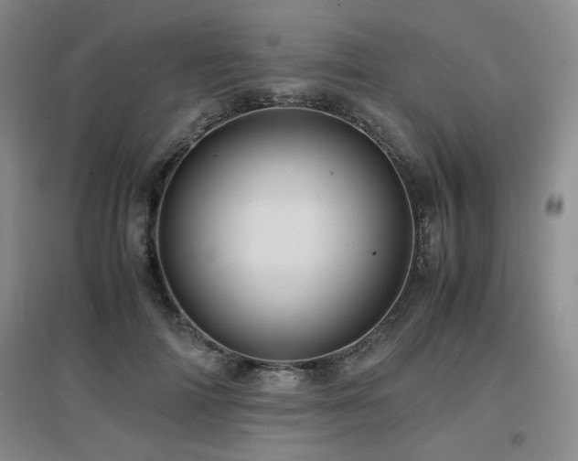 X0000097660698200802291427