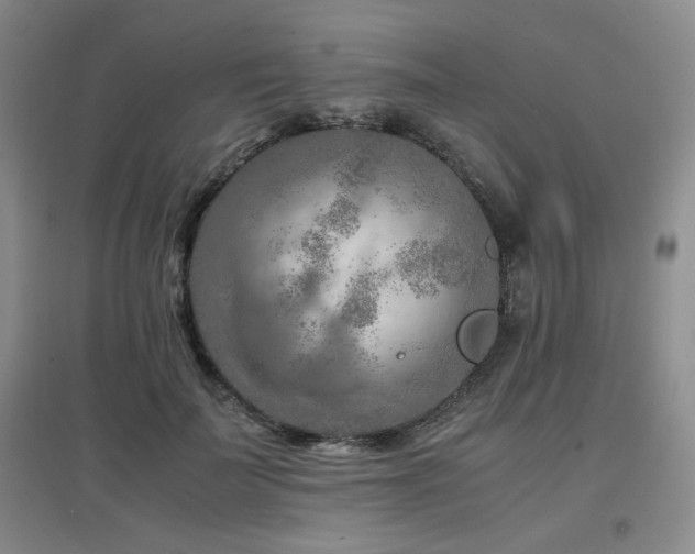 X0000097660699200802291427
