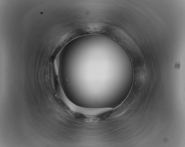 X0000097660700200802291427
