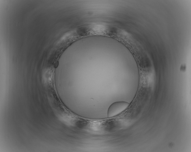 X0000097660701200802291427