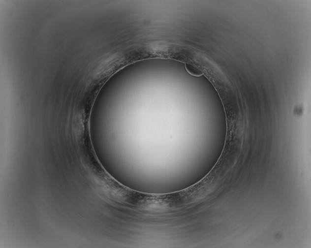 X0000097660702200802291427