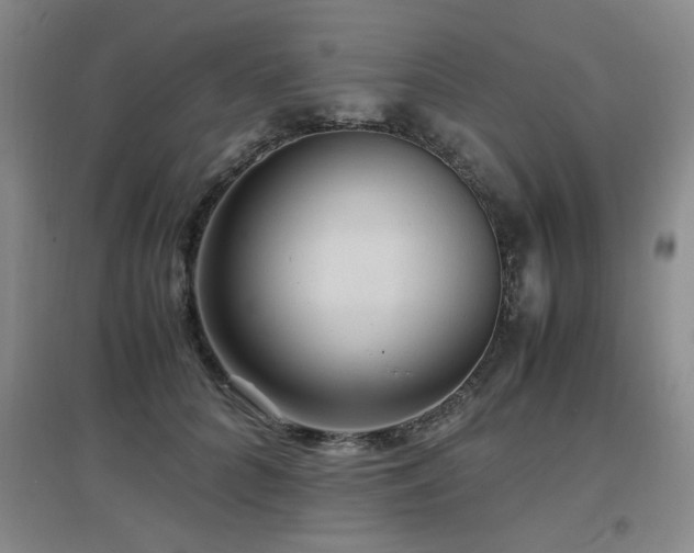 X0000097660704200802291427