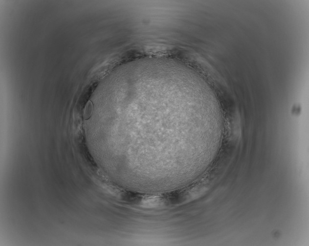 X0000097660705200802291427