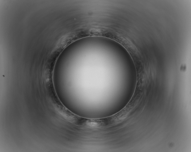 X0000097660706200802291427