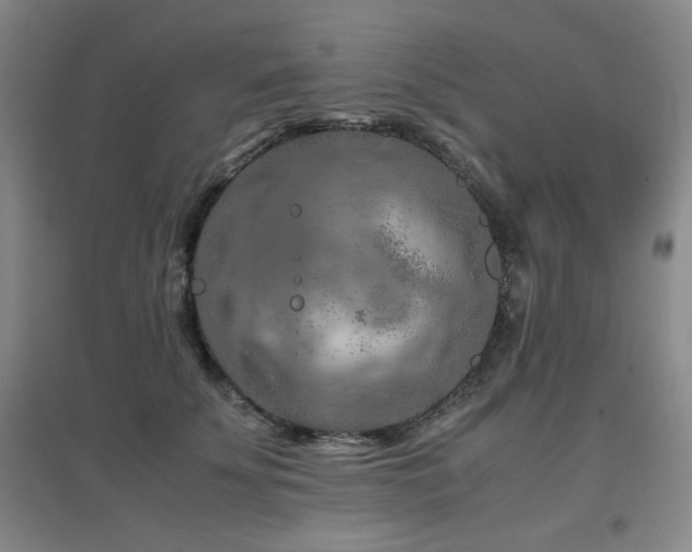 X0000097660707200802291427
