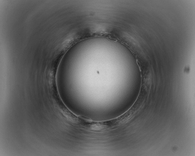 X0000097660708200802291427