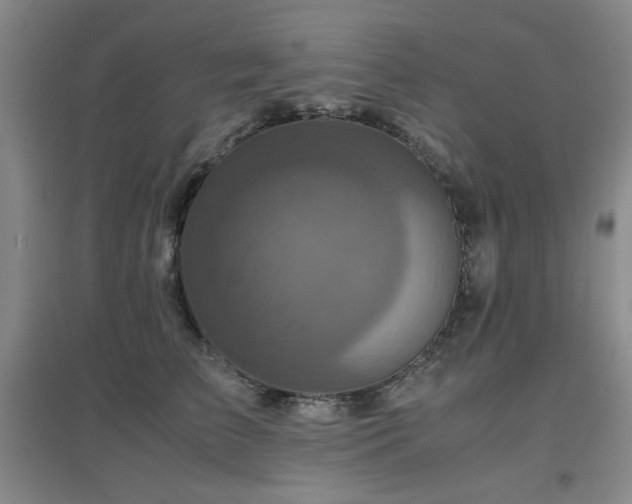 X0000097660709200802291426