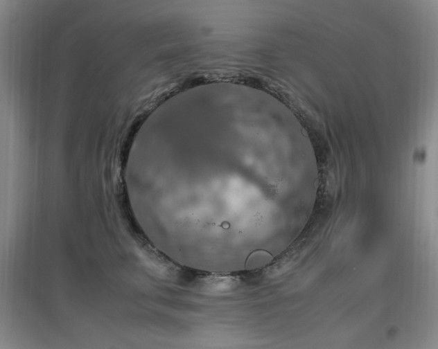 X0000097660711200802291426