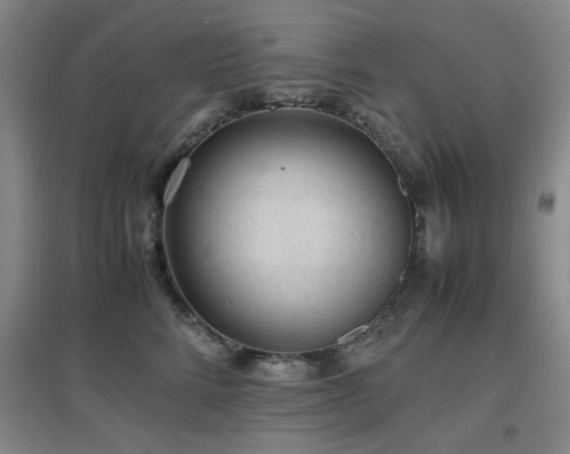 X0000097660712200802291426