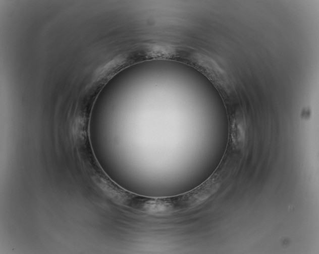 X0000097660714200802291426