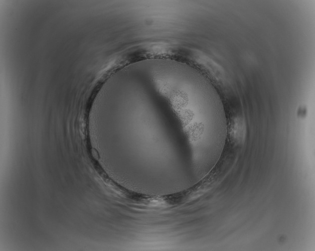 X0000097660715200802291426