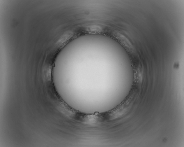 X0000097660717200802291426