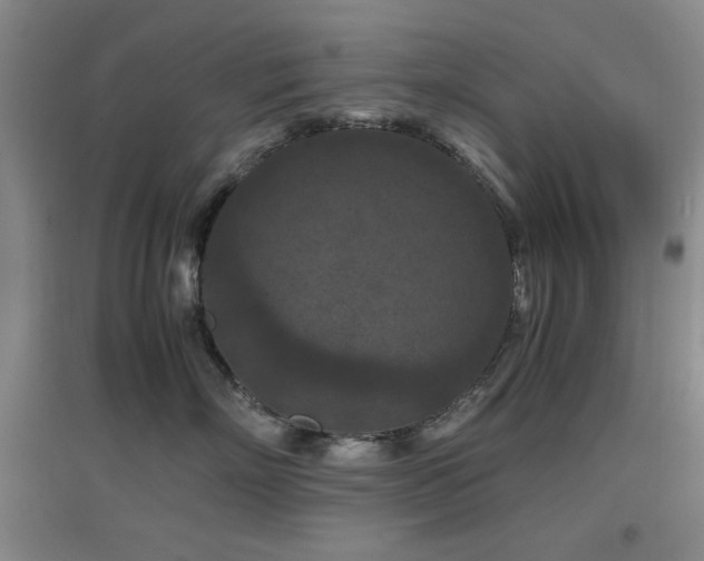 X0000097660718200802291426