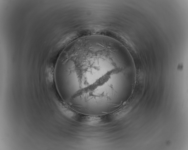 X0000097660719200802291426